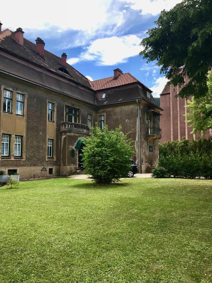 Apartment Im Grunen Leoben  Exteriör bild